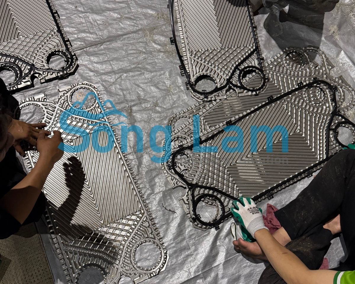 lap gioang plate heat exchanger sau bao duong