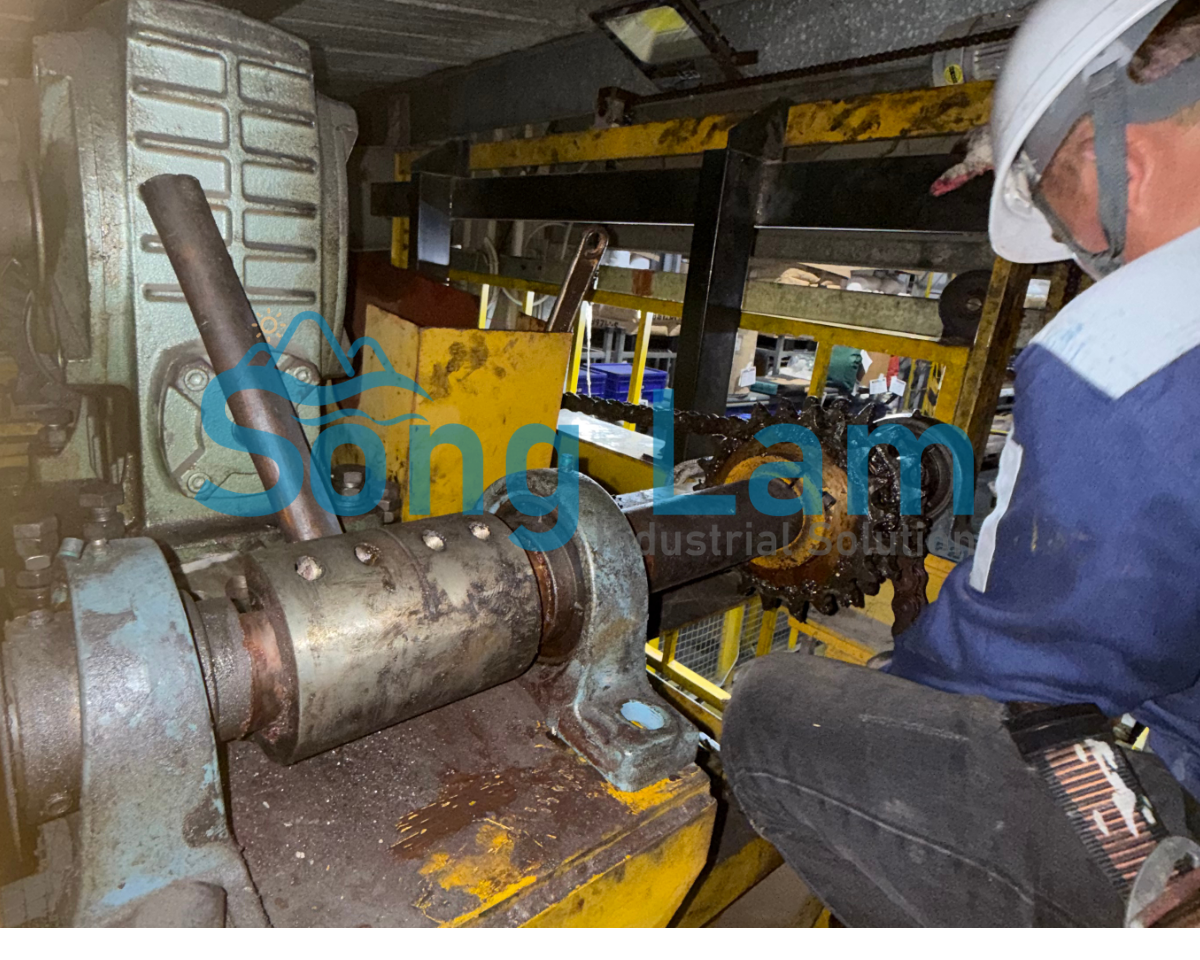 Hình ảnh thực tế quy trình bảo dưỡng thang hàng công nghiệp tại nhà máy của Sông Lam SOLACO